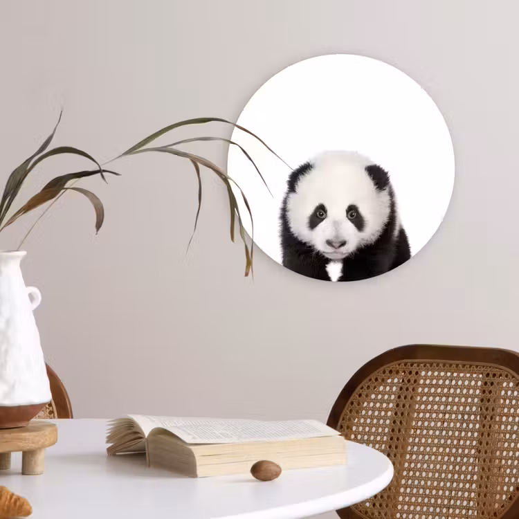 Muurcirkel - Dieren - Kinderen - Panda - Meisjes - Jongens — 4