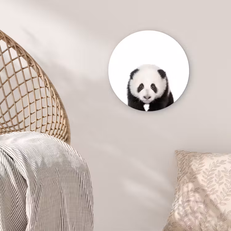 Muurcirkel - Dieren - Kinderen - Panda - Meisjes - Jongens — 5