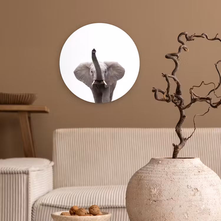 Muurcirkel - Dieren - Olifant- Wit - Wilde dieren - Kinderen — 2