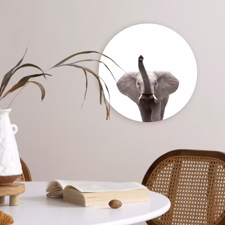 Muurcirkel - Dieren - Olifant- Wit - Wilde dieren - Kinderen — 4