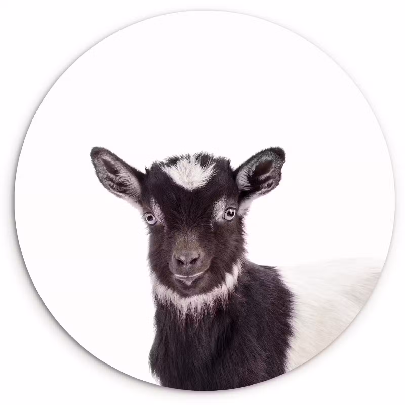 Muurcirkel - Boerderijdieren - Geit - Kind - Jongen - Meisjes — 1