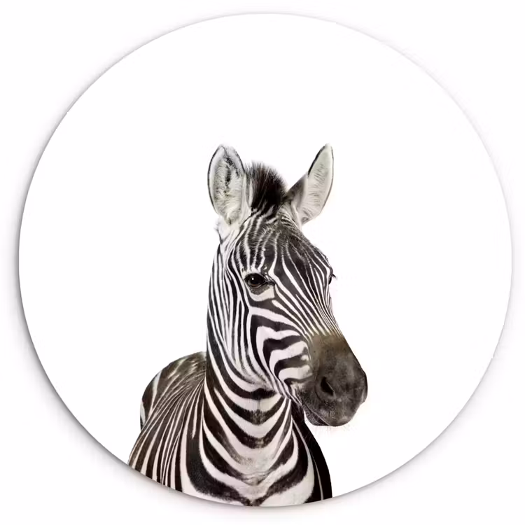 Muurcirkel - Dieren - Zebra - Kinderen - Wit - Portret- Meisjes — 1