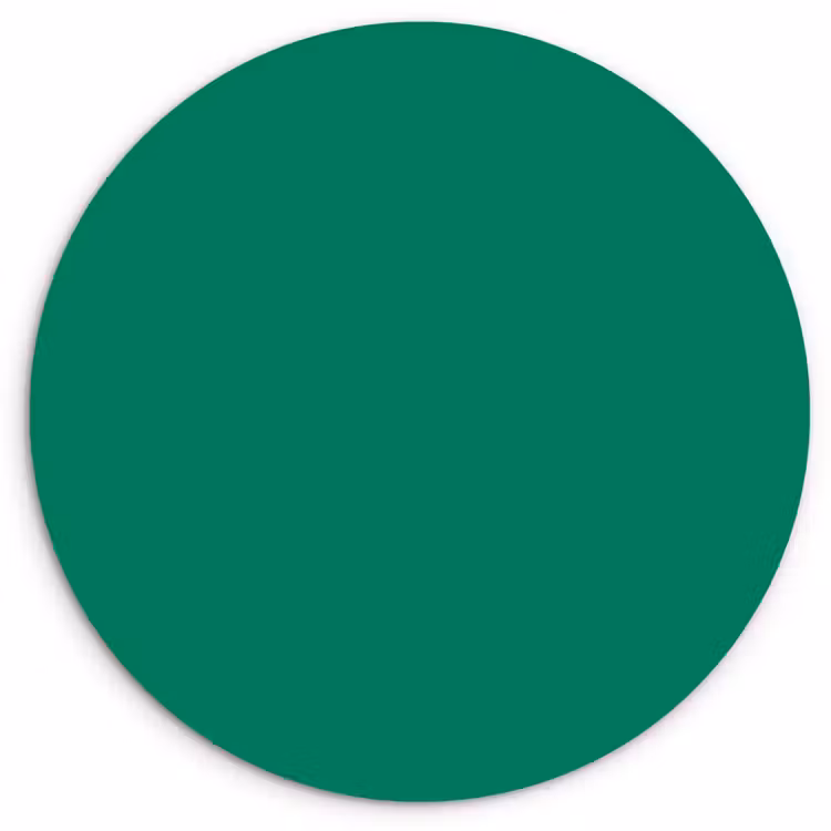 Muurcirkel - Groen - Bos - Kleuren — 1