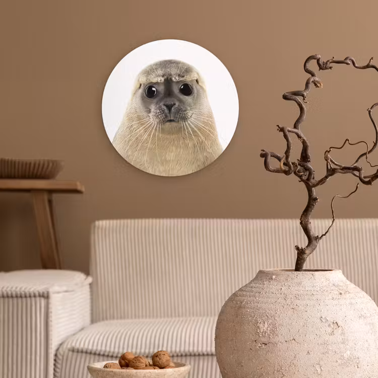 Muurcirkel - Jongens - Zeehond - Kinderen - Meisjes - Dieren — 2