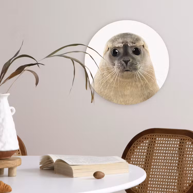 Muurcirkel - Jongens - Zeehond - Kinderen - Meisjes - Dieren — 4