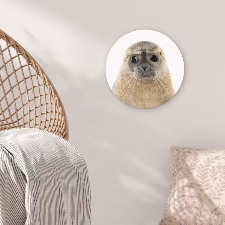 Muurcirkel - Jongens - Zeehond - Kinderen - Meisjes - Dieren — 5