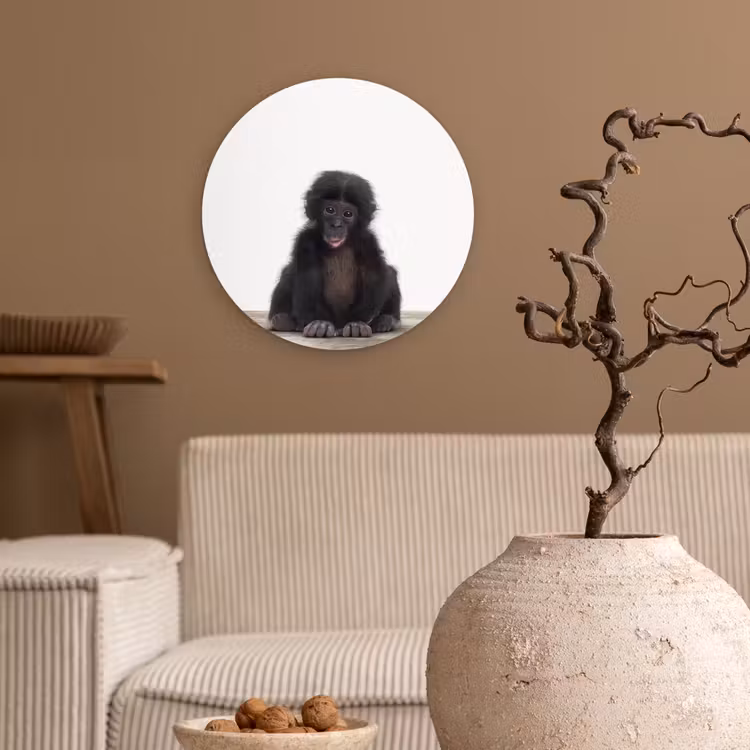 Muurcirkel - Kind - Aap - Chimpansee - Baby dieren - Jongens - Meiden — 2