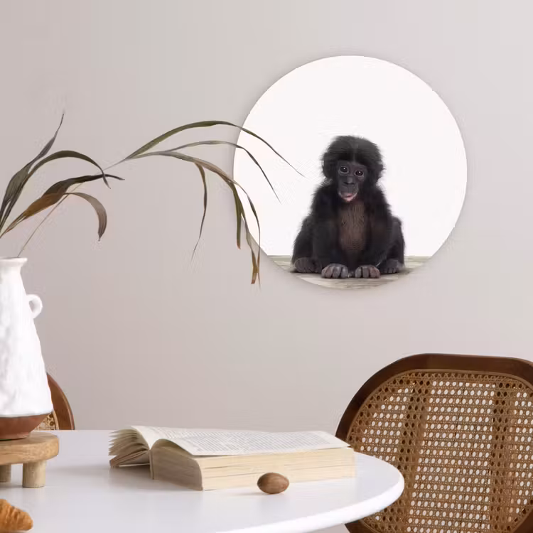 Muurcirkel - Kind - Aap - Chimpansee - Baby dieren - Jongens - Meiden — 4