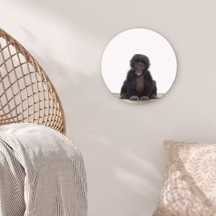 Muurcirkel - Kind - Aap - Chimpansee - Baby dieren - Jongens - Meiden — 5