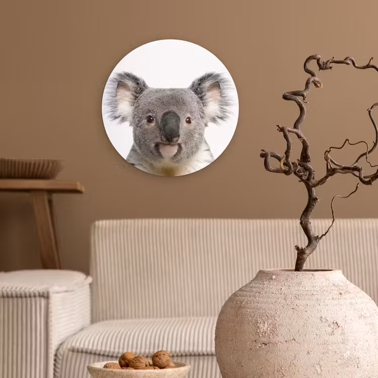 Muurcirkel - Koala - Koala beer - Meisjes - Jongens - Kinderen - Dieren — 2