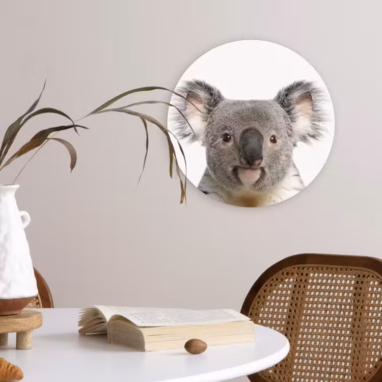 Muurcirkel - Koala - Koala beer - Meisjes - Jongens - Kinderen - Dieren — 4