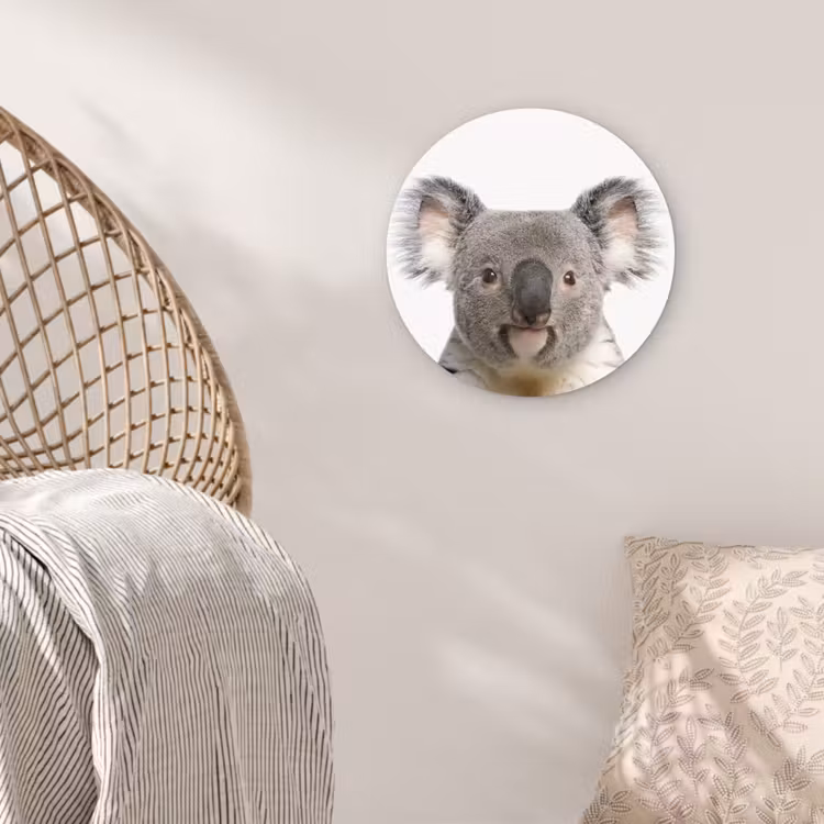Muurcirkel - Koala - Koala beer - Meisjes - Jongens - Kinderen - Dieren — 5