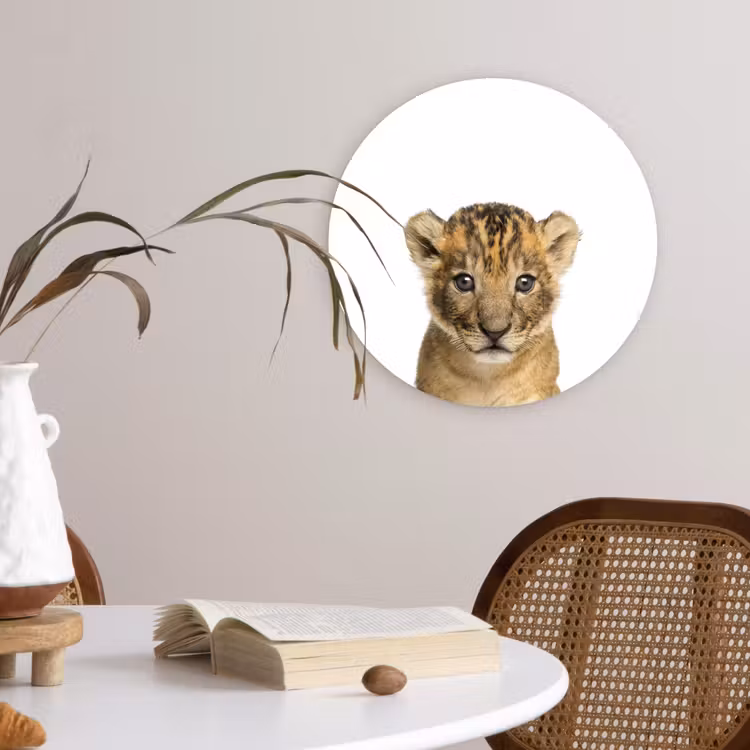 Muurcirkel - Leeuw - Kinderen - Wilde dieren - Welp - Jongen — 4