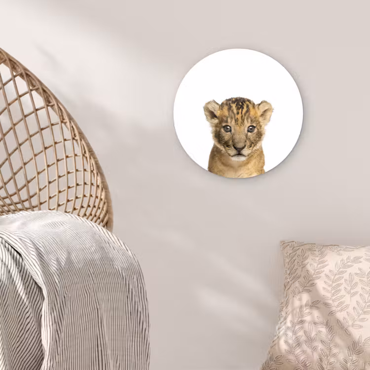 Muurcirkel - Leeuw - Kinderen - Wilde dieren - Welp - Jongen — 5