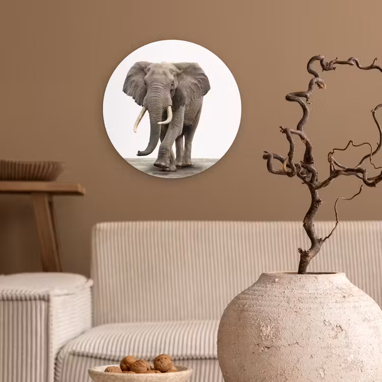 Muurcirkel - Olifant - Kinderen - Jongens - Dieren - Meisjes — 2
