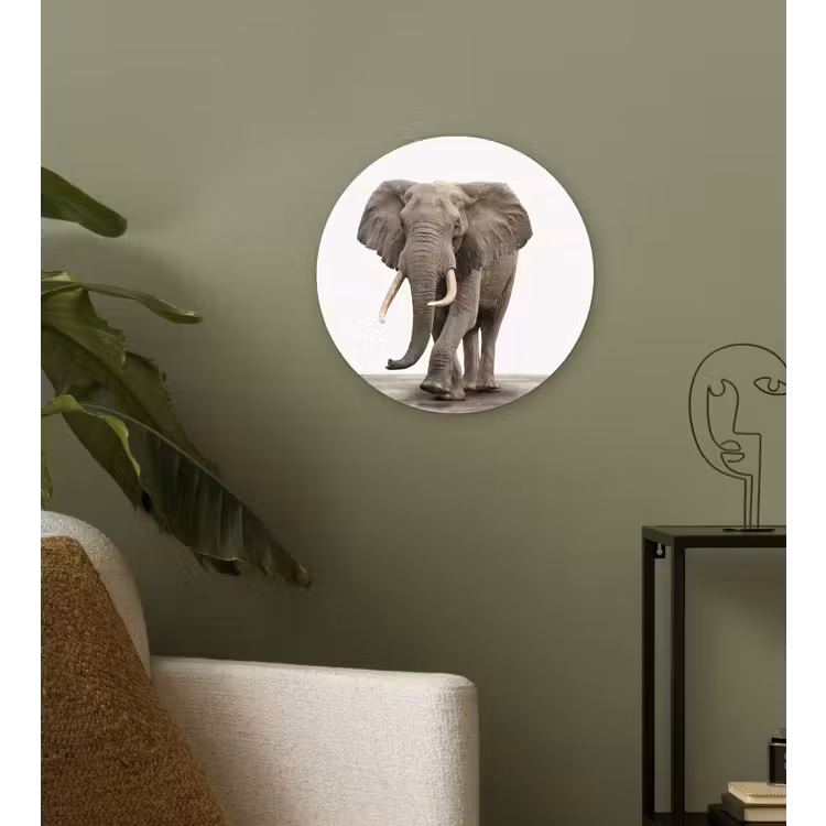 Muurcirkel - Olifant - Kinderen - Jongens - Dieren - Meisjes — 3