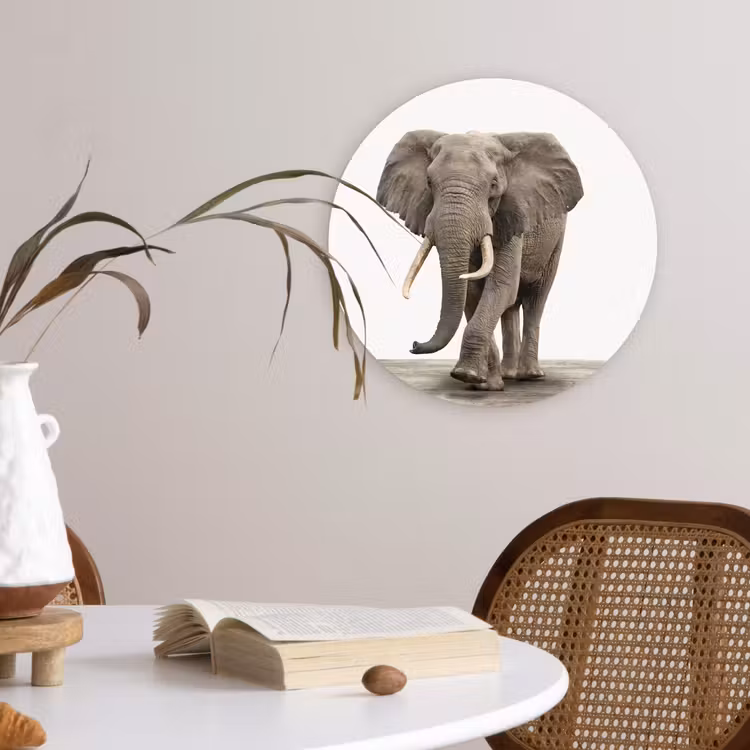 Muurcirkel - Olifant - Kinderen - Jongens - Dieren - Meisjes — 4