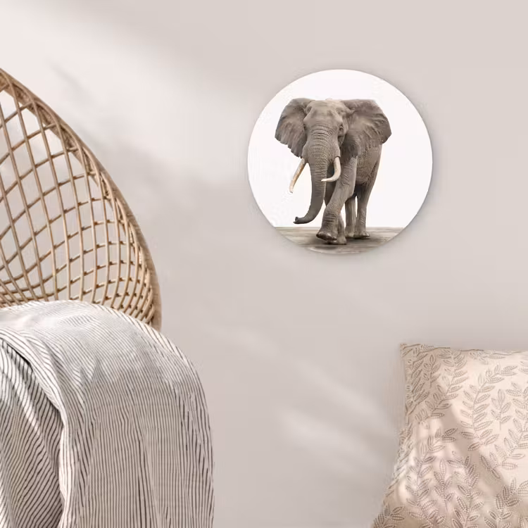 Muurcirkel - Olifant - Kinderen - Jongens - Dieren - Meisjes — 5