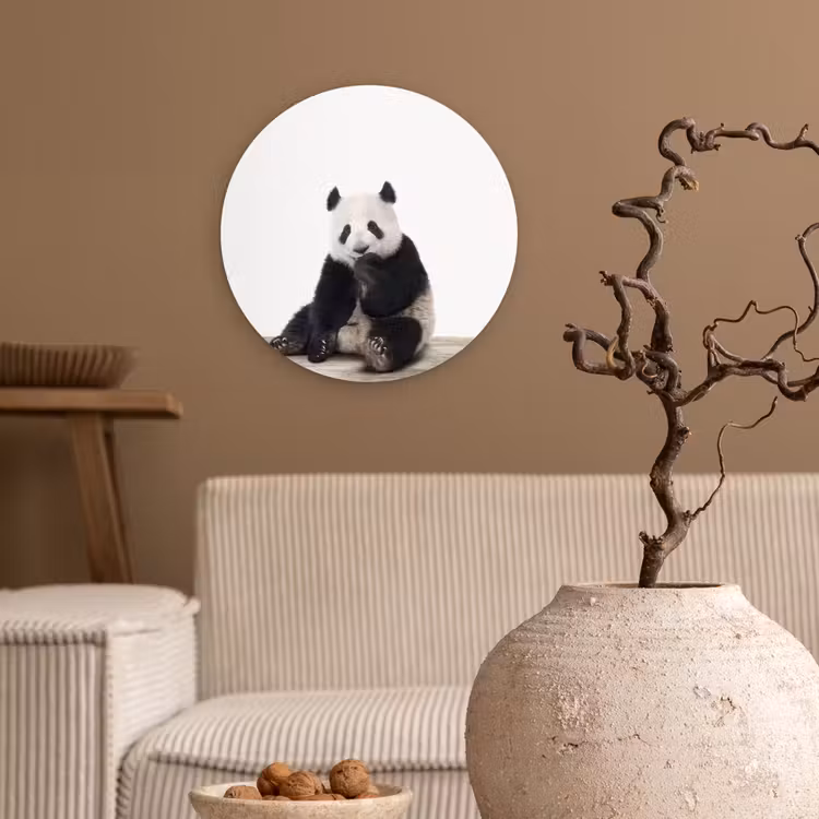 Muurcirkel - Panda - Dieren - Kinderen - Jongens - Meisjes - Pandabeer — 2
