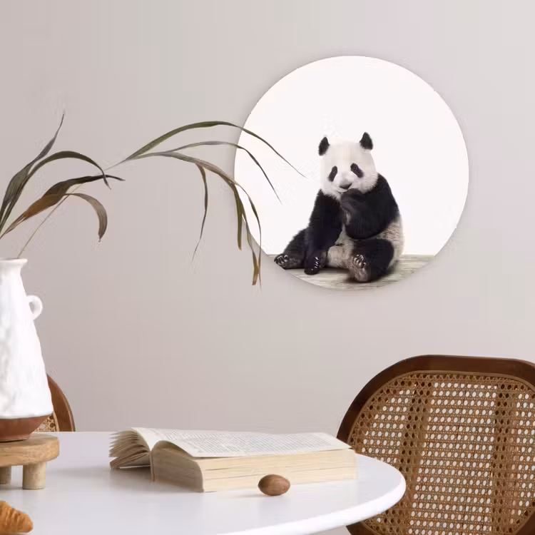 Muurcirkel - Panda - Dieren - Kinderen - Jongens - Meisjes - Pandabeer — 4