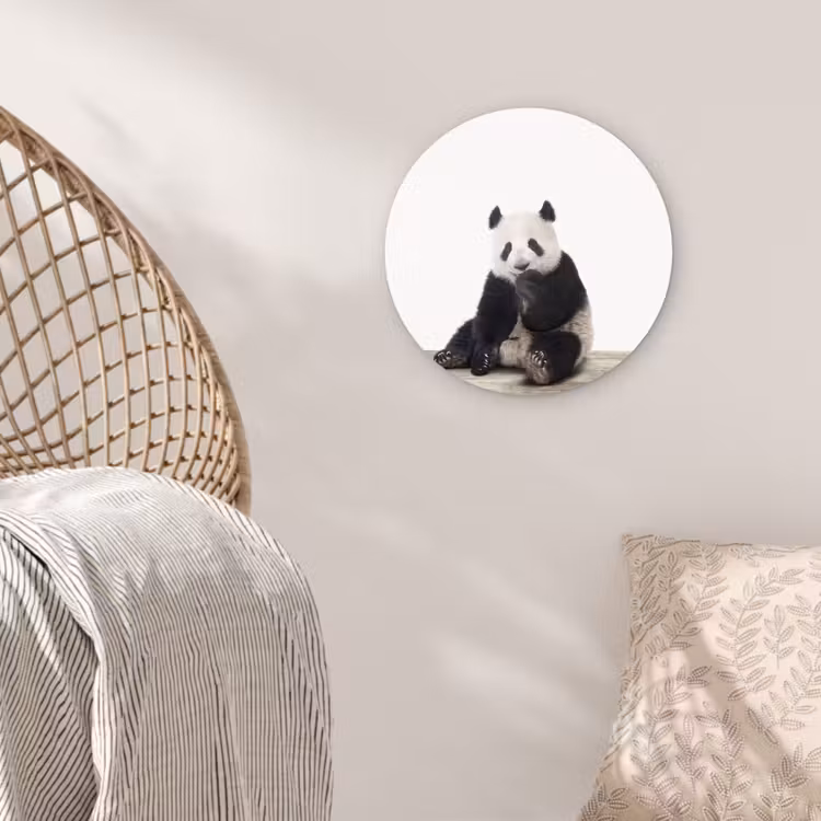 Muurcirkel - Panda - Dieren - Kinderen - Jongens - Meisjes - Pandabeer — 5