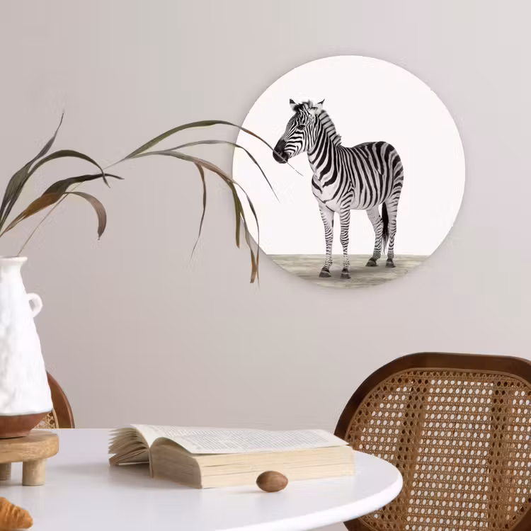 Muurcirkel - Zebra - Meisjes - Dieren - Kinderen - Jongens — 4