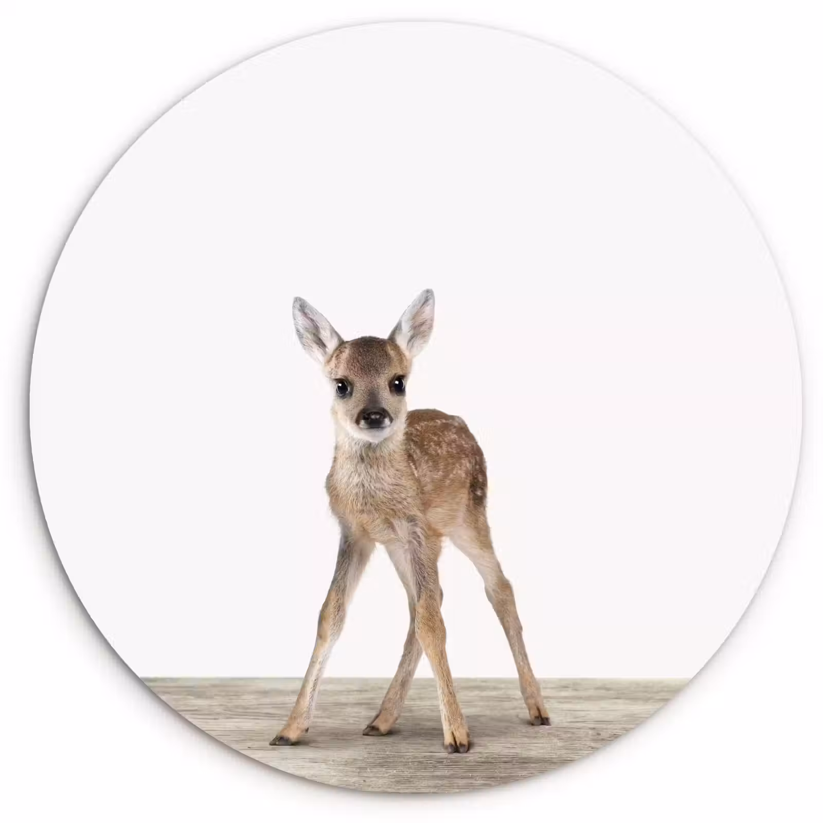 Muurcirkel - Hert - Baby hert - Dieren - Meisjes - Jongens - Kinderen — 1