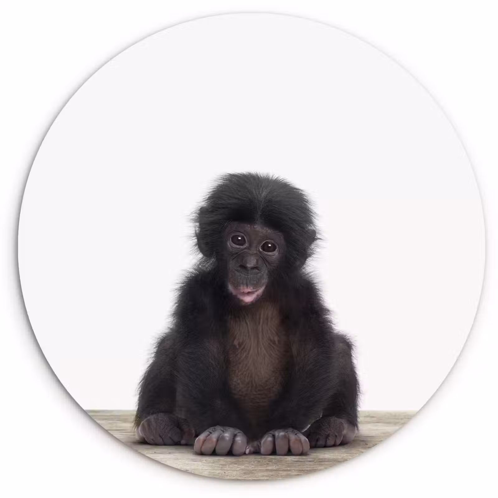 Muurcirkel - Kind - Aap - Chimpansee - Baby dieren - Jongens - Meiden — 1
