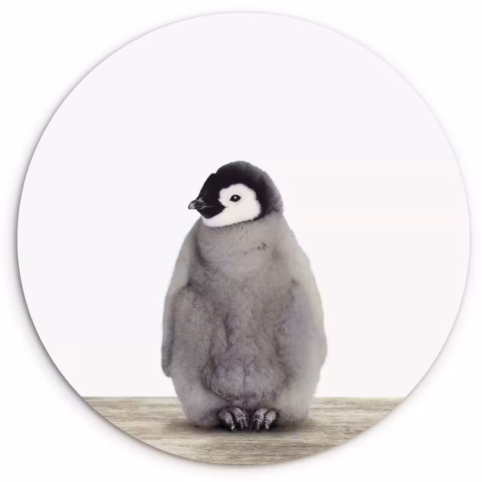Muurcirkel - Kinderen - Pinguïn - Grijs - Dieren - Meisjes - Jongens — 1