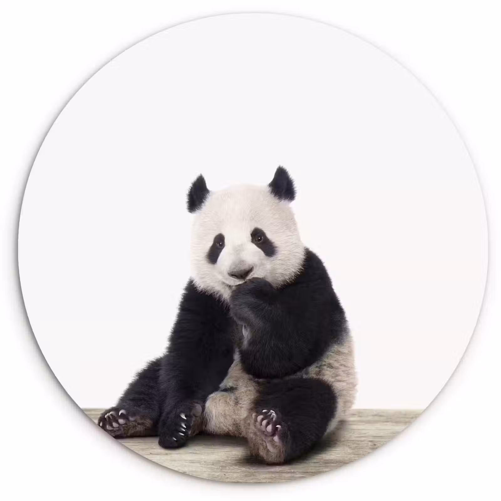 Muurcirkel - Panda - Dieren - Kinderen - Jongens - Meisjes - Pandabeer — 1