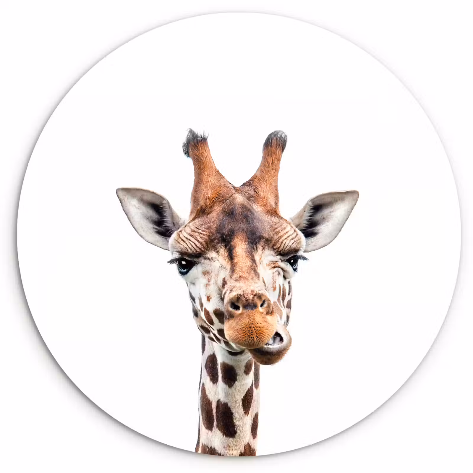 Muurcirkel - Wilde dieren - Giraffe - Kinderen - Jongen - Dieren — 1