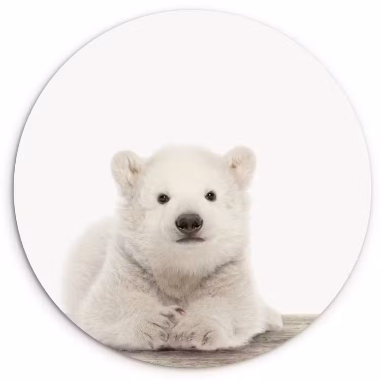 Muurcirkel - IJsbeer - Dieren - Kinderen - Wit - Jongens - Meisjes — 1