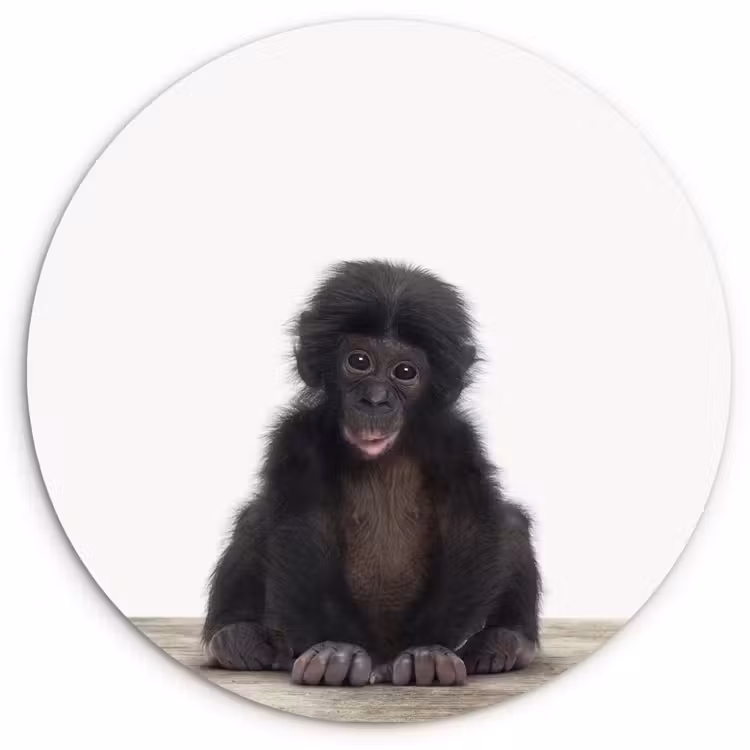 Muurcirkel - Kind - Aap - Chimpansee - Baby dieren - Jongens - Meiden — 1
