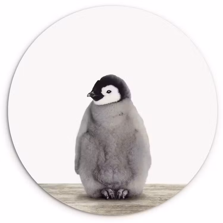Muurcirkel - Kinderen - Pinguïn - Grijs - Dieren - Meisjes - Jongens — 1