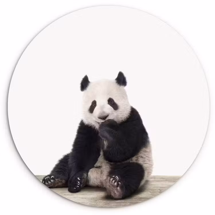 Muurcirkel - Panda - Dieren - Kinderen - Jongens - Meisjes - Pandabeer — 1