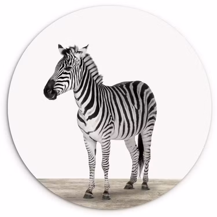 Muurcirkel - Zebra - Meisjes - Dieren - Kinderen - Jongens — 1