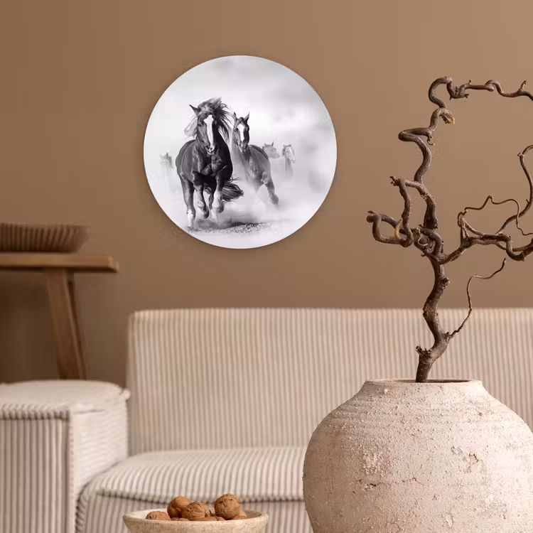 Muurcirkel - Paarden - Dieren - Illustratie — 2