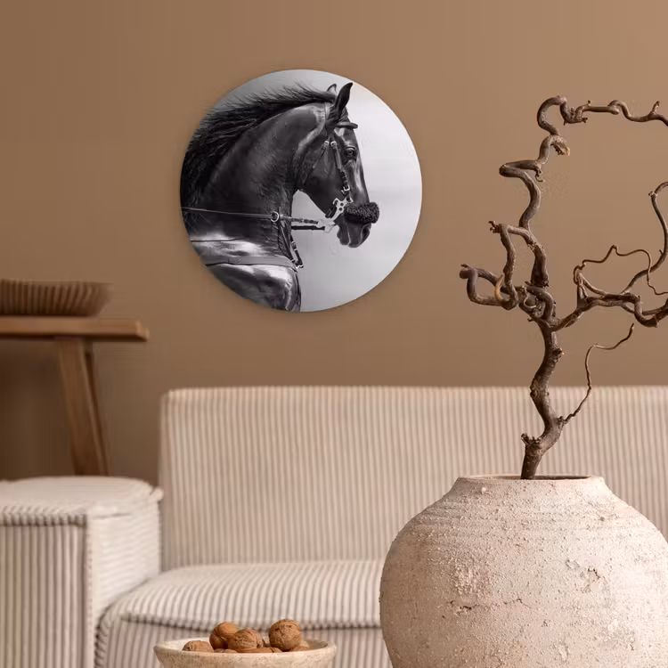 Muurcirkel - Paarden - Zwart - Portret - Dieren — 2