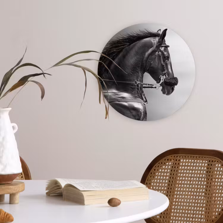 Muurcirkel - Paarden - Zwart - Portret - Dieren — 4