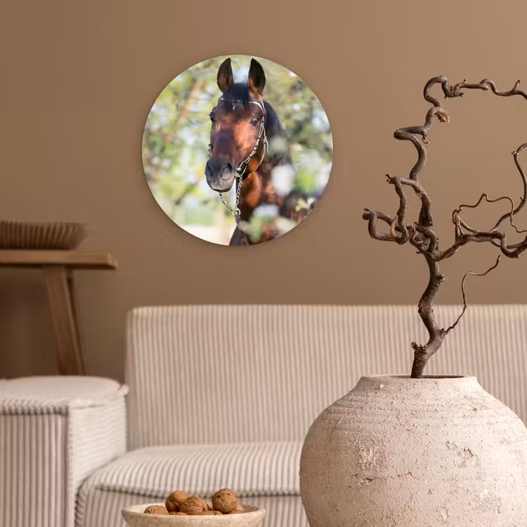 Muurcirkel - Paarden - Bloesem - Lente - Dieren — 2