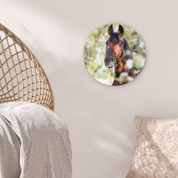 Muurcirkel - Paarden - Bloesem - Lente - Dieren — 5