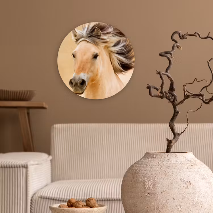 Muurcirkel - Paarden - Dieren - Manen - Portret — 2