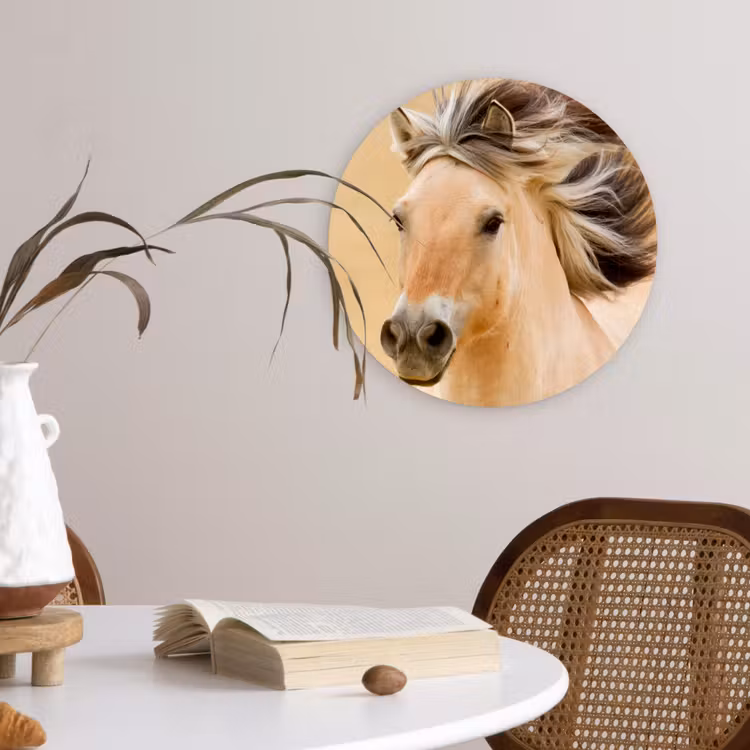 Muurcirkel - Paarden - Dieren - Manen - Portret — 4
