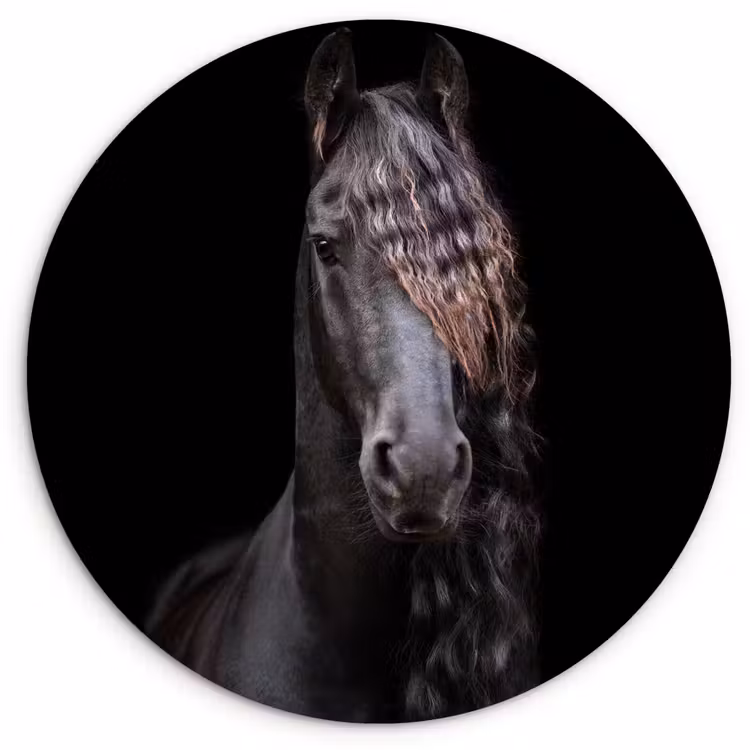 Muurcirkel - Paarden - Fries - Manen - Zwart - Dieren — 1