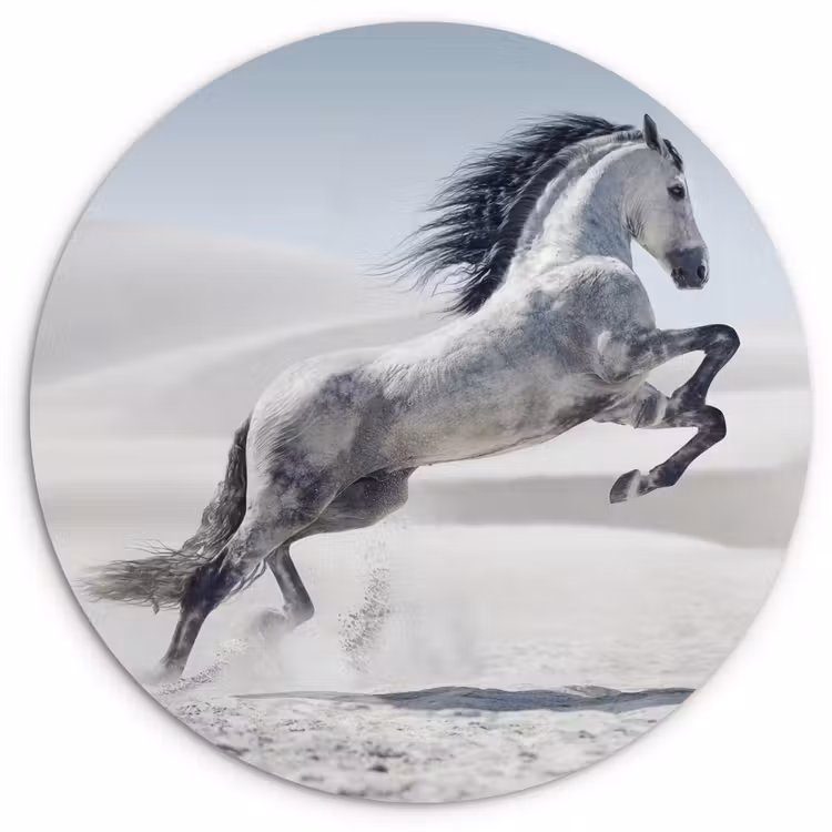 Muurcirkel - Paard - Dieren - Zand - Natuur — 1