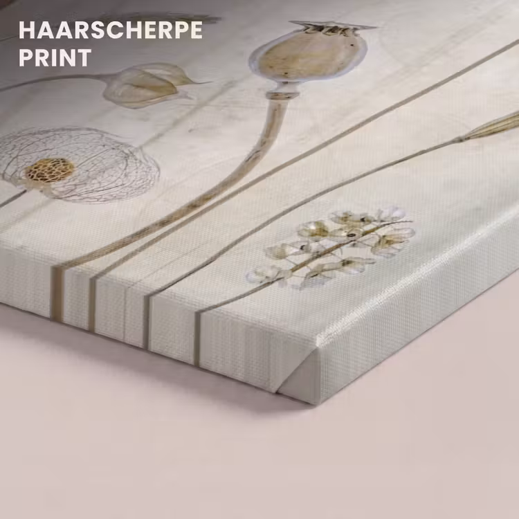 Canvas schilderij - Bloemen - Waterverf - Stilleven - Bruin - Vintage — 5