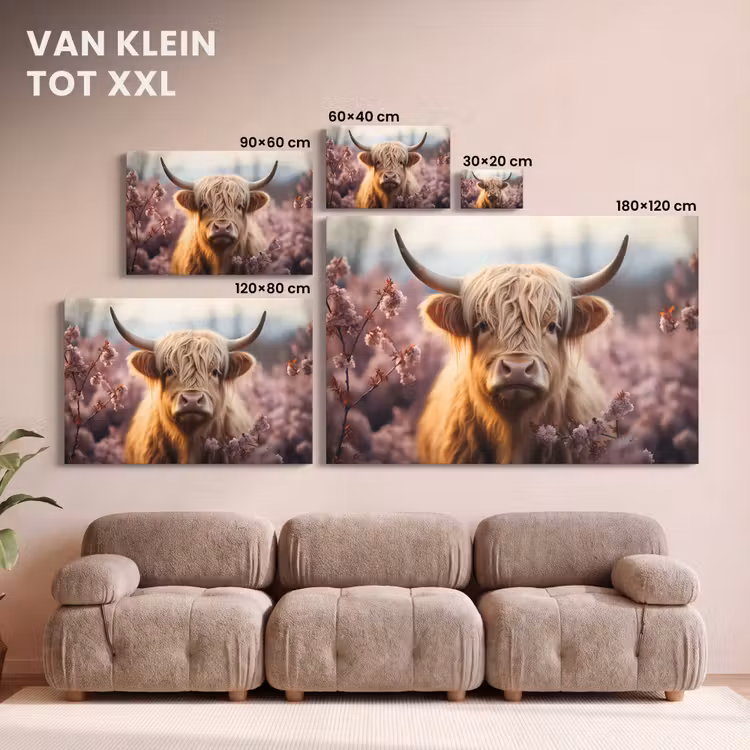 Canvas schilderij - Schotse hooglander - Lente - Hooglanden — 8