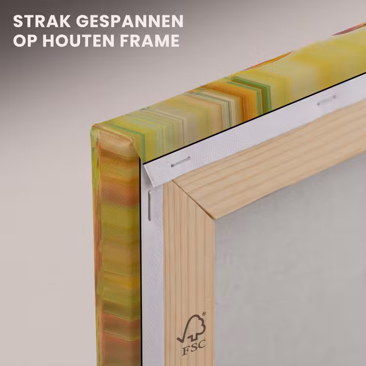 Canvas schilderij - Olifant - Kunst - Schilderij - Dieren - Regenboog — 7