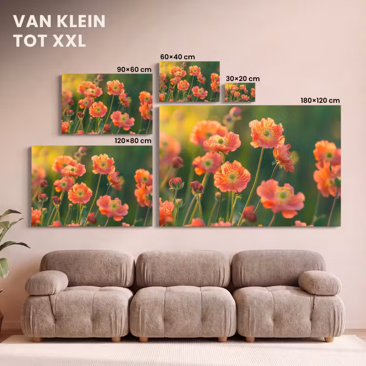 Canvas schilderij - Bloemenveld - Zonnestralen - Oranje — 8
