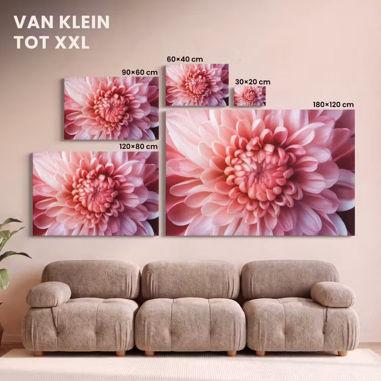 Canvas schilderij - Dahlia - Bloem - Close up - Roze — 8